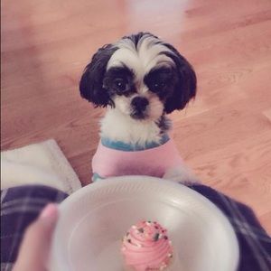 Meet your Posher, Wendy